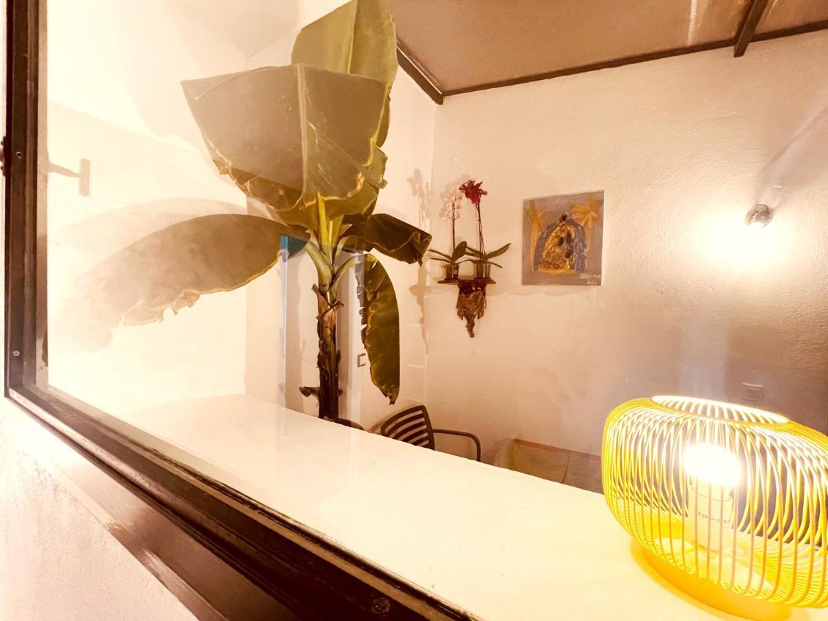 Casa Les Bambous Apartman Nîmes Kültér fotó